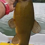 Semesterbostad Letniskowy Zacisze